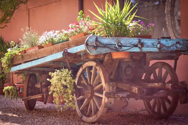 Old wooden bullock-cart with flowers. Wooden cart with flowers.
