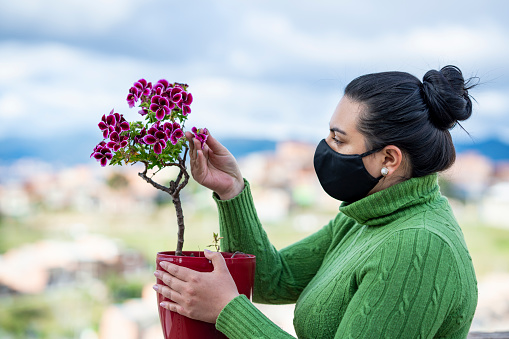 A black-haired Latina woman in a green jacket with an average age of 30 years wears her black mask and carries in her hands the flower pot which she will place on her balcony while we look back at the city landscape