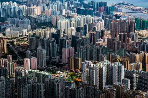 vista del paisaje urbano de hong kong desde el pico de lion rock - clear sky hong kong island hong kong china fotografías e imágenes de stock