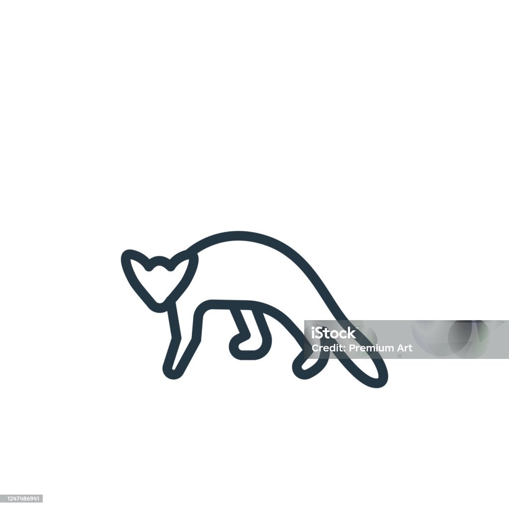 Sable Icon Thin Linear Sable Outline Icon Isolated On White Background From  Animals Collection Line Vector Sign Symbol For Web And Mobile Stock  Illustration - Download Image Now - iStock