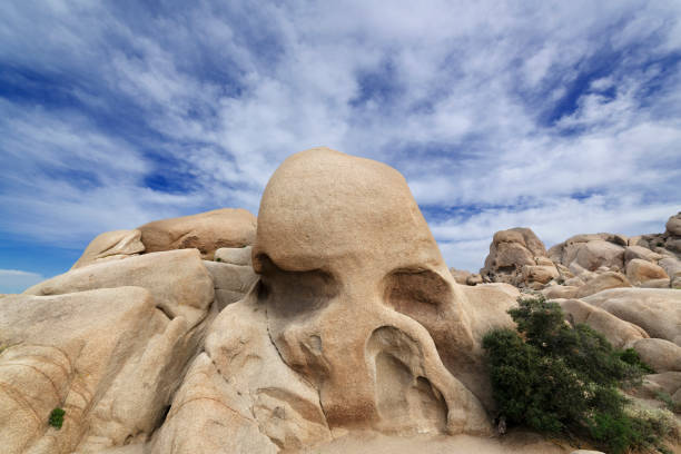 Skull Rock is a popular formation located near Jumbo Rocks Campground in Joshua Tree National Park.
