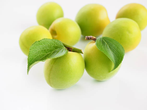 istock Ume fruits on white background 1247544724