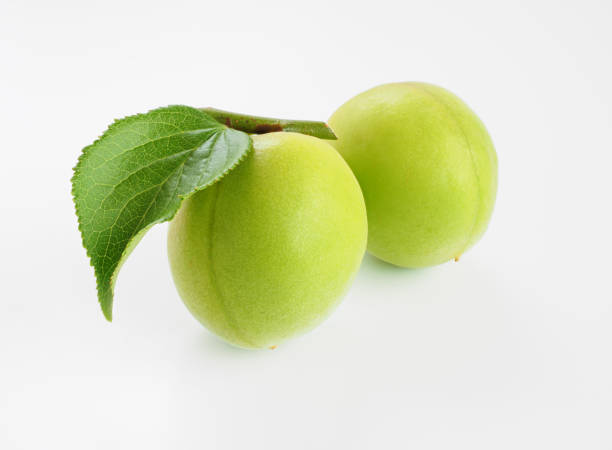 istock Ume fruits on white background 1247545684