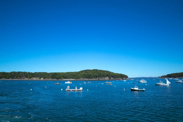 istock Acadia National Park Whale Watch Cruise 1247550464