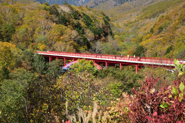 góry yatsugatake i czerwony most higashizawa - ginkgo ginkgo tree leaf water zdjęcia i obrazy z banku zdjęć