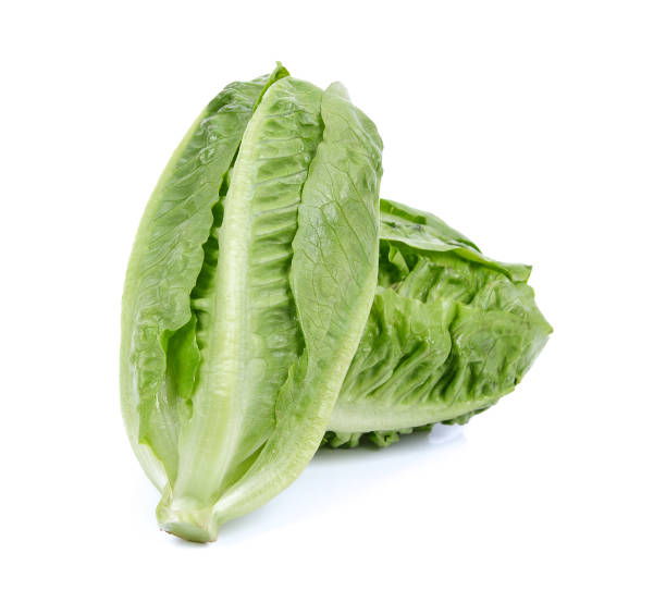istock Baby green cos lettuce on white background 1247563112