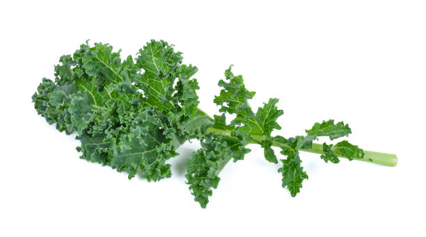 istock Super Food (kale)on white background 1247594257