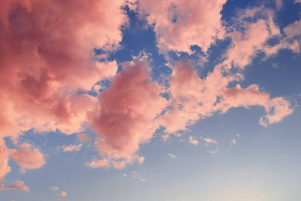 istock Beautiful sky with pink clouds within summer sunset as a background 1247650764