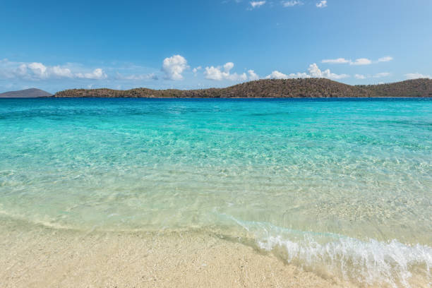 Coki Point Beach in St Thomas, USVI, Caribbean Coki Point Beach and Thatch Cay island in the background in St Thomas, USVI, Caribbean. Summer Vacation Travel Concept. st. thomas virgin islands photos stock pictures, royalty-free photos & images