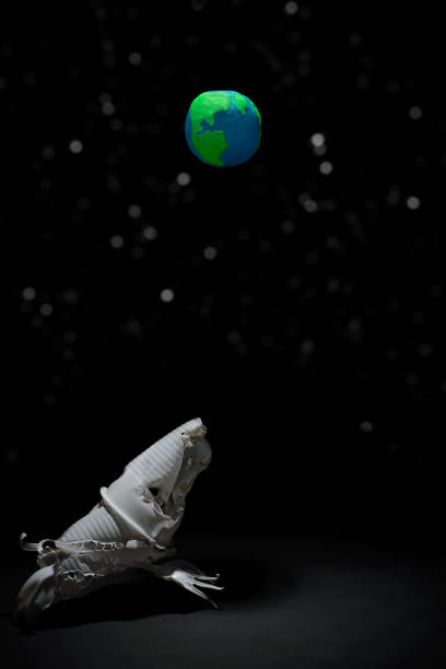 istock Plasticine Earth planet handmade, above fantasy creatures from plastic on black background with white stars bokeh. Ecology Concept for Earth Hour, Earth Day, Ocean Day and other ECO dates. 1247653387