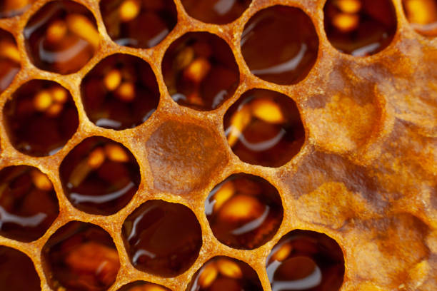 Yellow Honeycomb closeup background stock photo