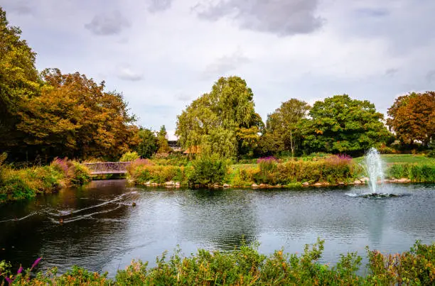 Photo of Bishop's Park in Fulham, London.