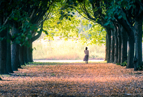 Distant little girl walking along alley of green trees in a park in the summer