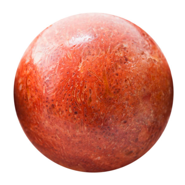 istock Ball from pressed red coral isolated 1247664958