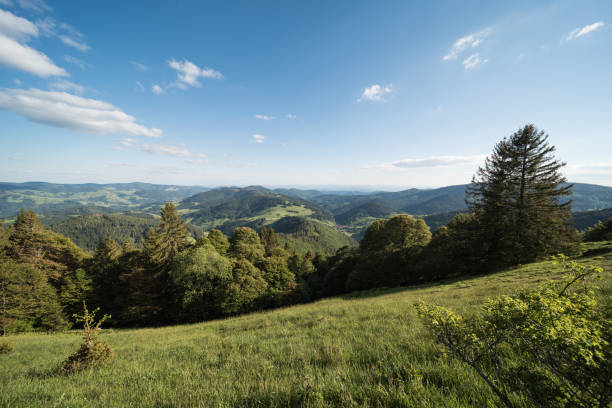 istock nature landscape in germany 1247682692