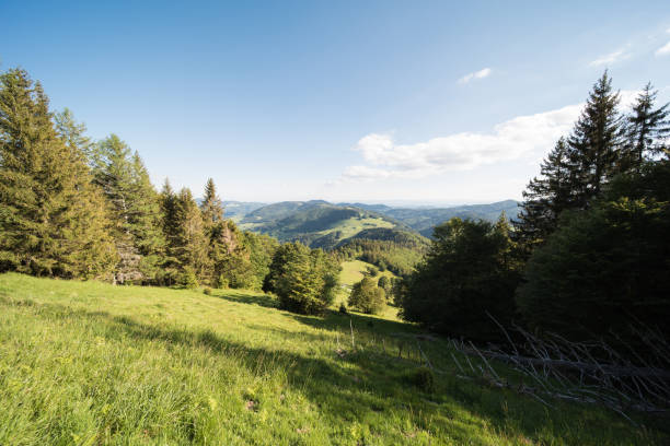 istock nature landscape in germany 1247682693