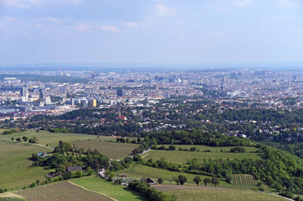 istock Vineyards and Vienna city panormaic view 1247695875