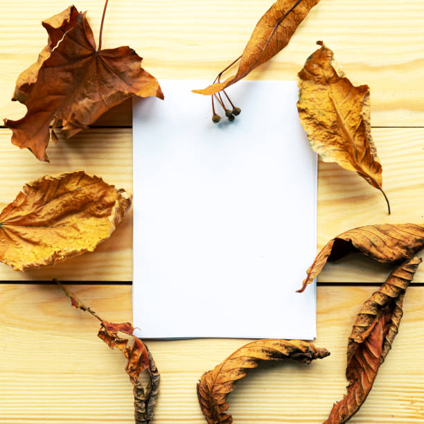 istock White mockup blank and dry leafs on wooden background. Autumn concept, copy space for the text 1247700939