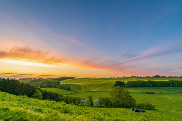 istock Out in the country 1247701808