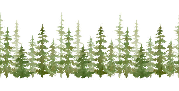 常緑樹との水彩シームレスな境界線。風景作成者のための森の要素。孤立したトウヒ、オーク、松、モミの木。緑の森 - christmas pine forest fir tree点のイラスト素材／クリップアート素材／マンガ素材／アイコン素材