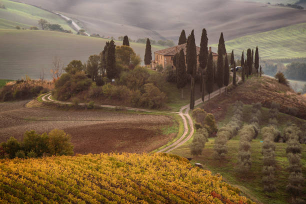 istock Sunrise in Italy 1247733318