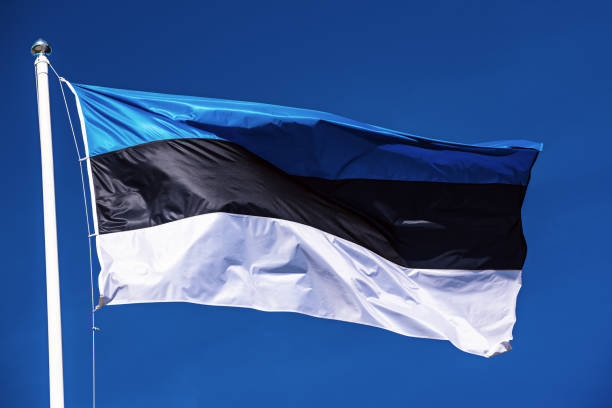 istock Flag of Estonia 1247733665