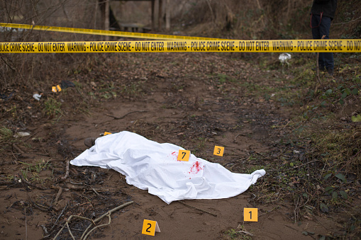 Yellow crime scene cordon tape in forest