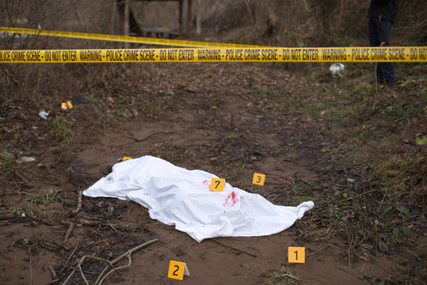 crime scene by the river - floating on water fotos imagens e fotografias de stock