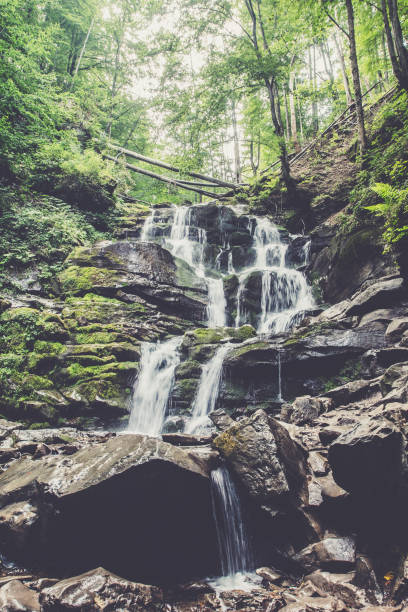 istock Forest waterfall and rocks in carpathians mountains. Summer in mountains 1247735383