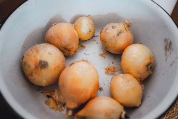 Onions in an enameled bowl
