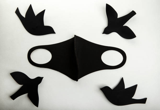 istock image of mask bird white background 1247736255