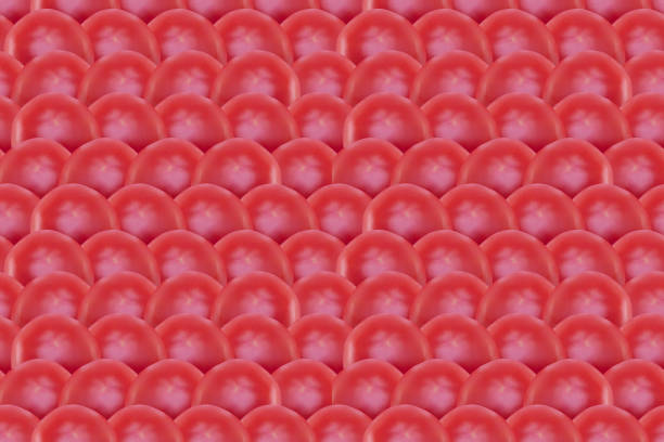 istock Seamless abstract background with lying rows of ripe tomatoes 1247744019
