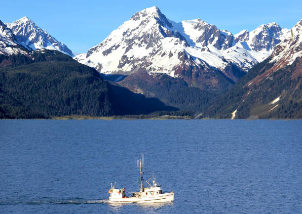 This is a composite of two photos from Alaska showing a fishing vessel at sea against the backdrop of snow covered mountains and a cloudless sky.  Photos were taken on same day in late spring.