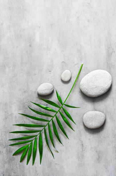 istock Flat lay composition with spa stones, palm leaves on grey background. 1247755173