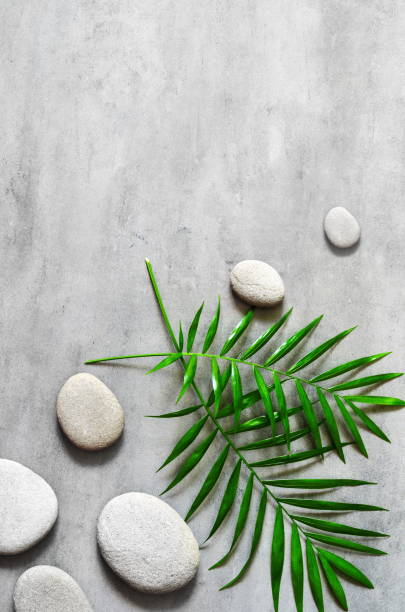 istock Flat lay composition with spa stones, palm leaves on grey background. 1247755690