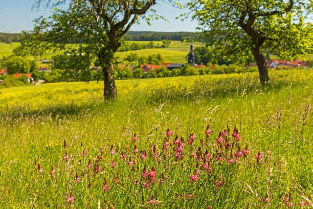view to Singen in Thuringia