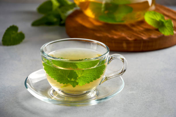 свежая натуральная мелисса, лимонный бальзам травяной чай в стеклянной чашке. - lemon balm стоковые фото и изображения