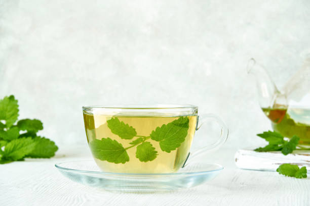 istock Fresh natural melissa , lemon balm herbal tea in glass cup. 1247760549