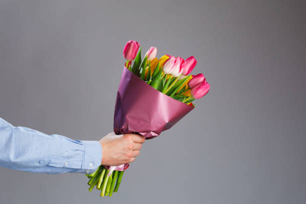 istock tulip flowers bouquet in hand, gray background 1247773693