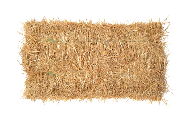 istock isolated top view bale of straw 1247778767
