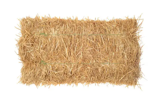 Photo of isolated top view bale of straw