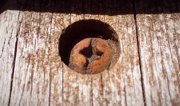 Photo of Rusty bolt in wooden plank