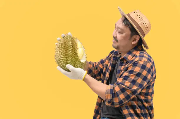 Photo of Middle-aged farmers are looking at their durian and proud of their own produce  isolated