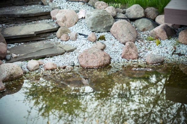 istock Creek in the garden 1247785116