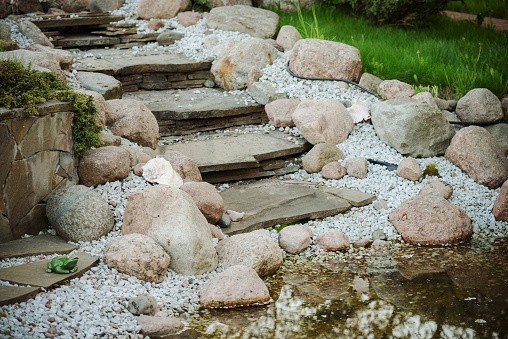 Creek in the garden