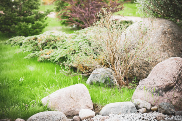 istock Beautiful garden with trees, lawn with green grass 1247786933
