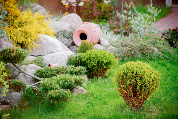 istock Beautiful garden with trees, lawn with green grass 1247787109