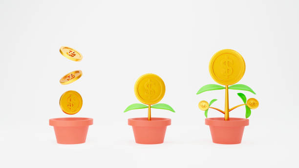 Money tree plant isolated on white background. Financial growth concept. New business model. investment growth, retirement savings money and start up concept. 3d rendering for advertisement board. planta de árbol de dinero aislada sobre fondo blanco. concepto de crecimiento financiero. nuevo modelo de negocio. crecimiento de la inversión, el ahorro de jubilación y el concepto de puesta en marcha. representación en 3d para el tablero de anuncios.