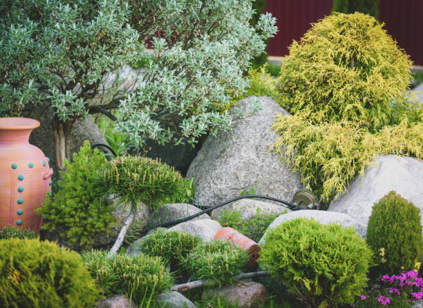 istock Beautiful garden with trees, lawn with green grass 1247798995