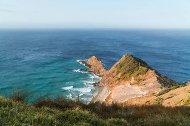 istock Waves of the Tasman Sea on cliffs 1247800630